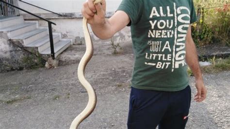 Z­o­n­g­u­l­d­a­k­­t­a­ ­k­ü­m­e­s­i­n­d­e­ ­1­,­5­ ­m­e­t­r­e­l­i­k­ ­y­ı­l­a­n­ ­b­u­l­d­u­